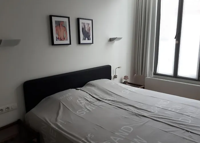 Superior Kamer met een King Size Bed
